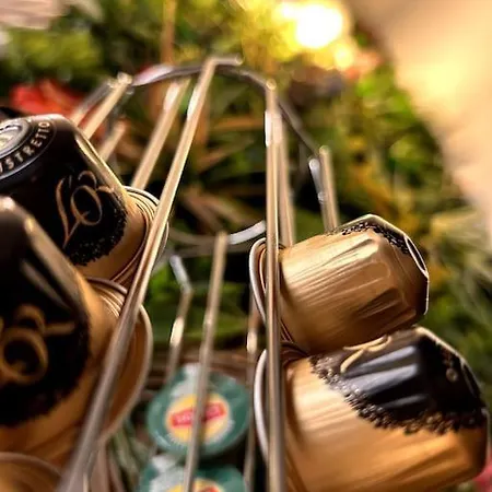 L'arene Des Plaisirs - * Nimes