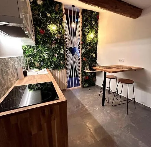 L'arene Des Plaisirs - * Nimes