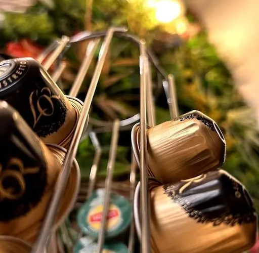 L'arene Des Plaisirs - * Nimes