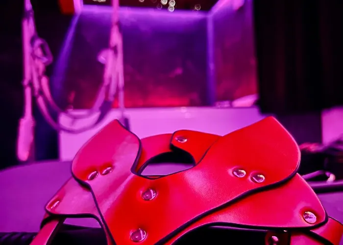 Apartment L'arene Des Plaisirs - Nimes